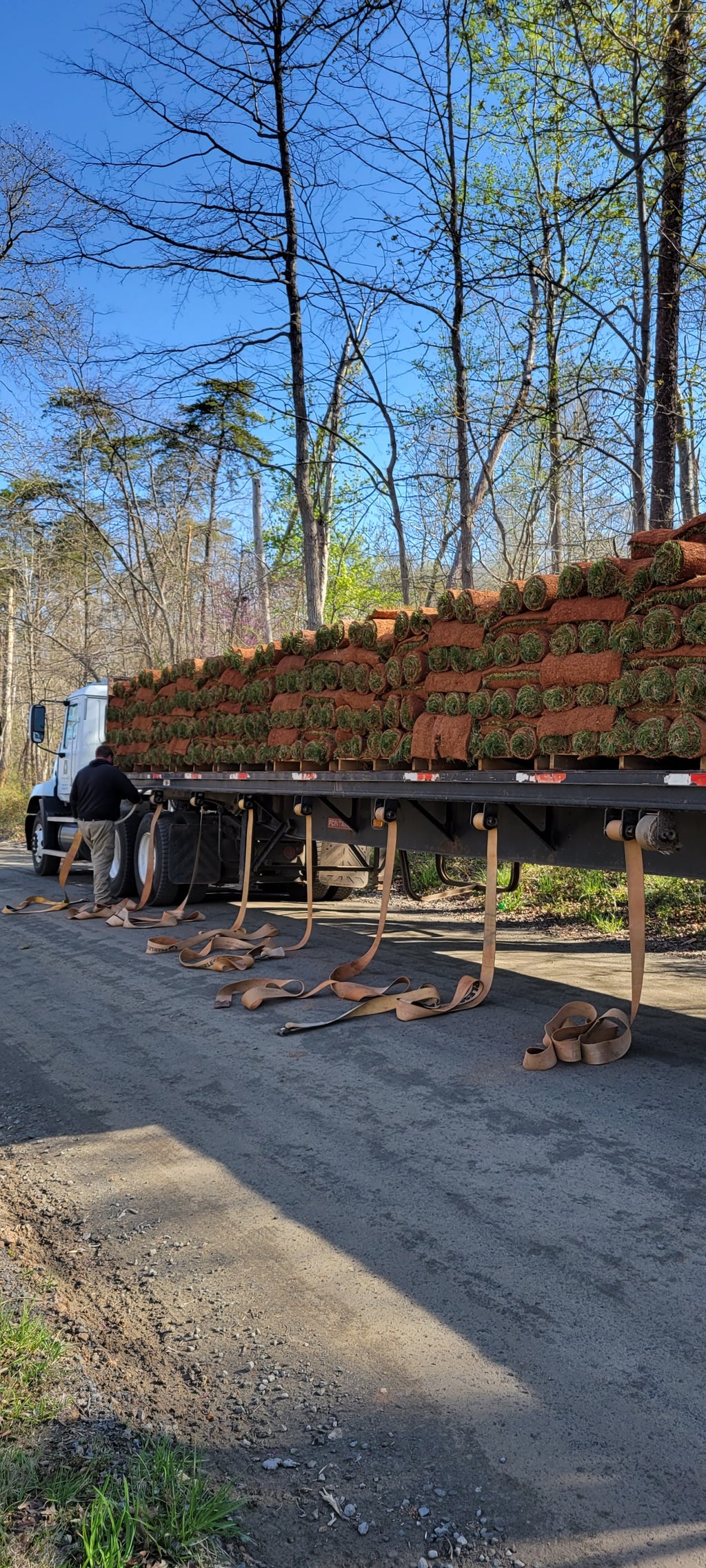 Test - Sod delivery and installation
