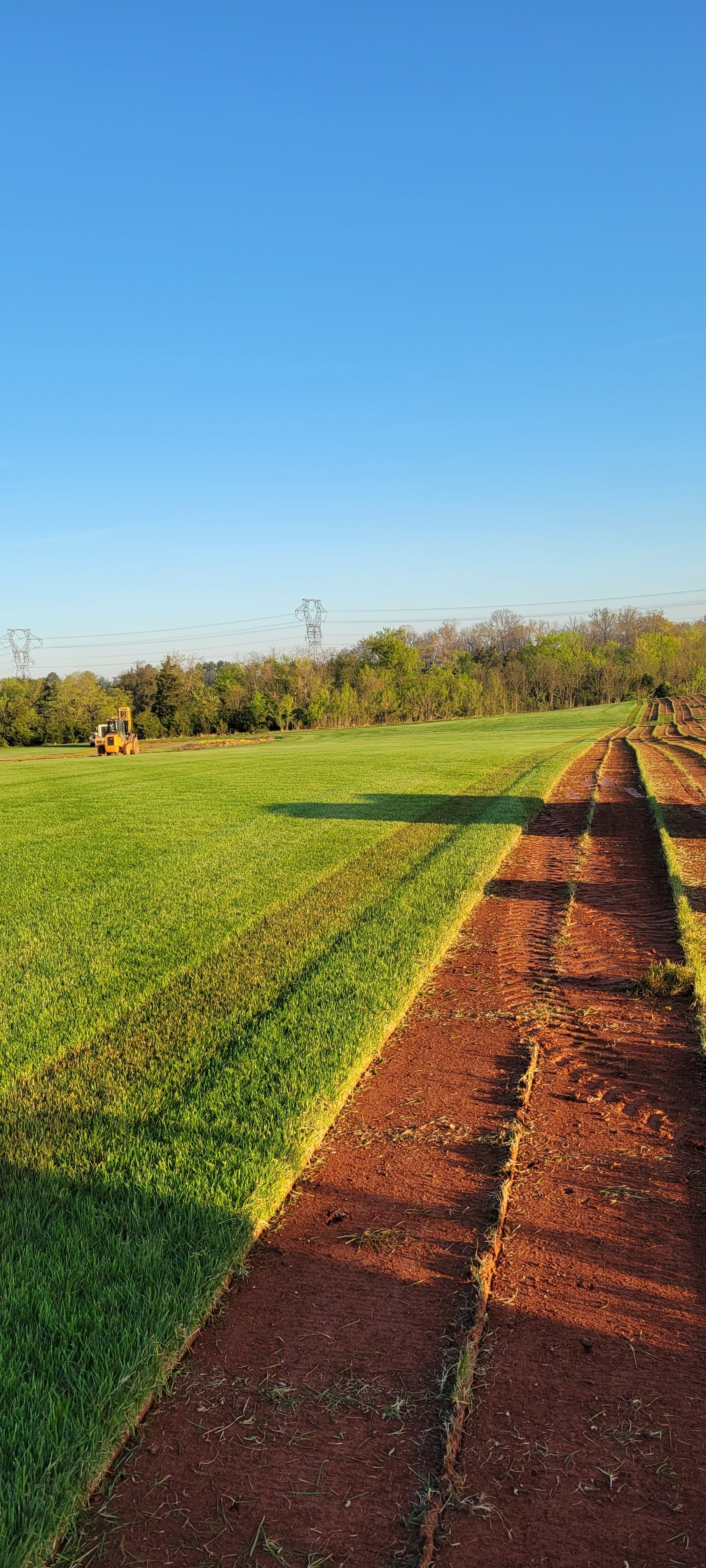Test - Sod delivery and installation