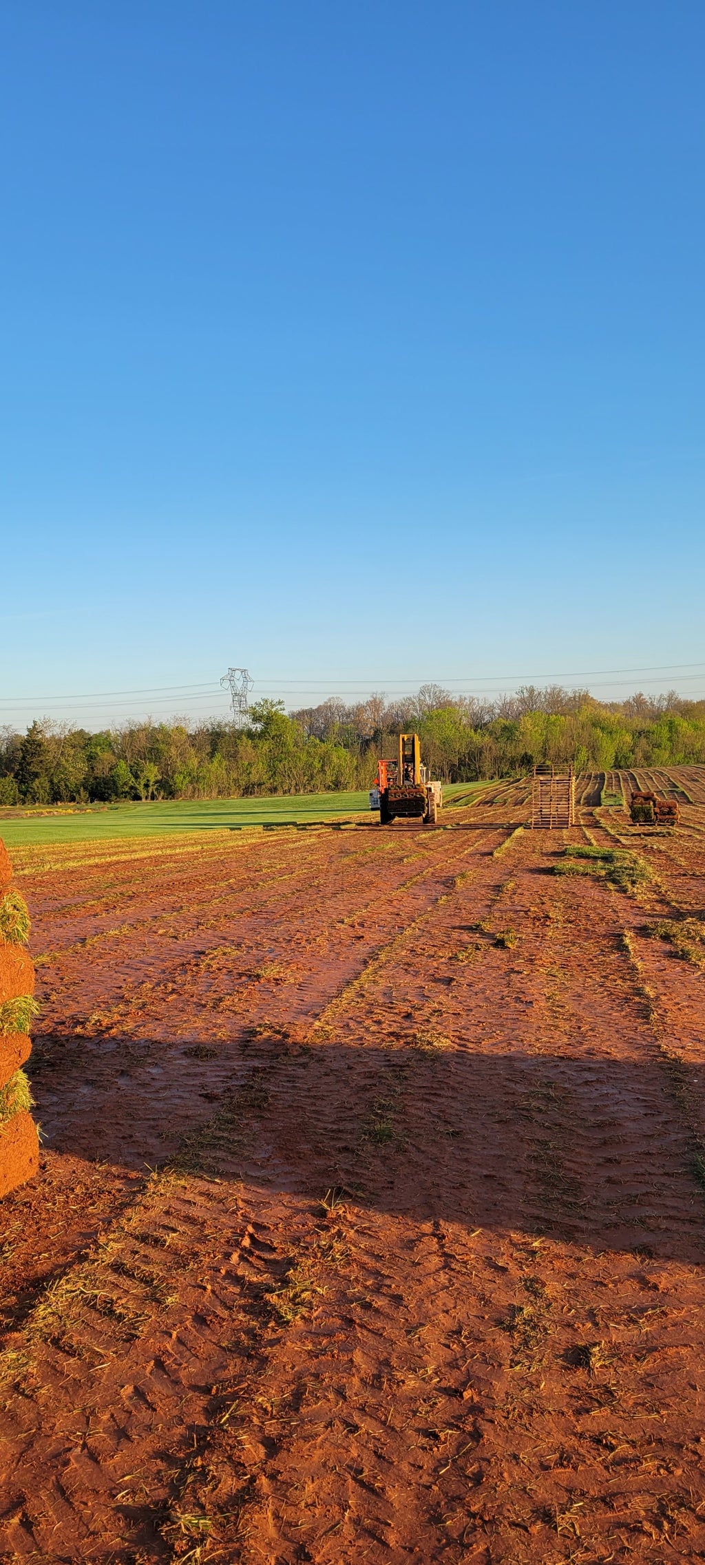 Test - Sod delivery and installation